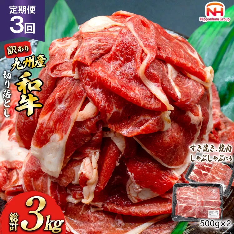 牛肉 訳あり 定期便 日本ハム 九州産和牛 切り落とし 500g 2p 3回 総計 3kg [日本ハムマーケティング 宮崎県 日向市 452061134] すき焼き しゃぶしゃぶ 赤身 小分け 冷凍 訳あり