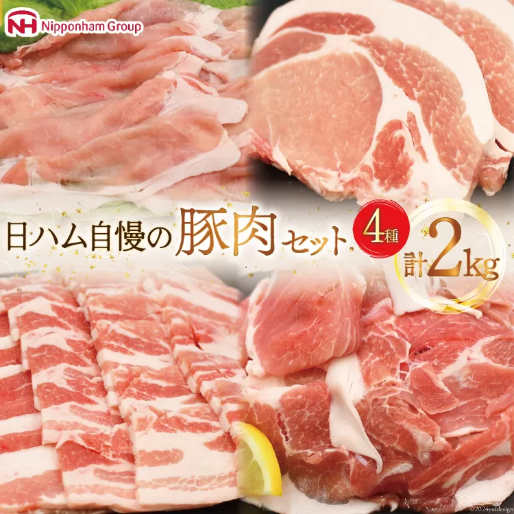 肉 豚肉 宮崎県産豚肉4種セット 詰め合わせ 2kg [日本ハムマーケティング 宮崎県 日向市 452060687] 冷凍 小分け 個包装 セット とんかつ しゃぶしゃぶ 焼き肉 細切れ 焼肉