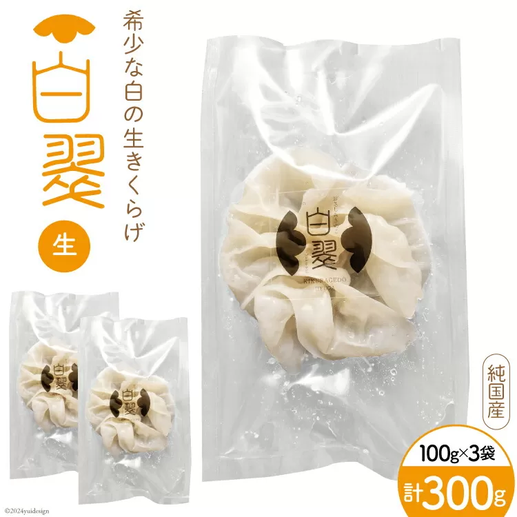 【期間限定発送】きのこ 白 生きくらげ 100g×3袋 [きくらげ堂 日向店 宮崎県 日向市 452060820] キクラゲ 木耳 食物繊維 無添加 きのこ 冷蔵