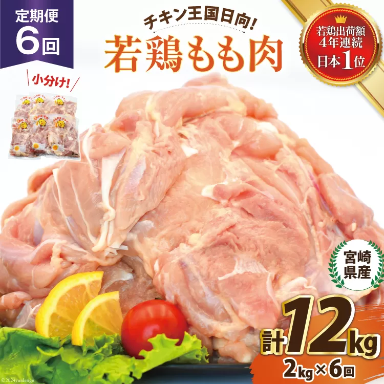 鶏肉 6回 定期便 宮崎県産 若鶏 もも 2kg [エム・ティ・シー 宮崎県 日向市 452061044] 小分け モモ もも肉 モモ肉 冷凍 肉 宮崎