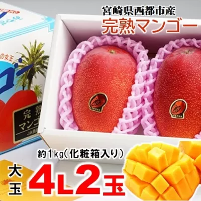 【先行予約】完熟マンゴー『大玉4Ｌ×2玉』（約1ｋｇ）糖度12度以上　西都産完熟マンゴー（JA西都）2025年発送＜2-45＞果物 くだもの フルーツ 大玉 宮崎県 西都市