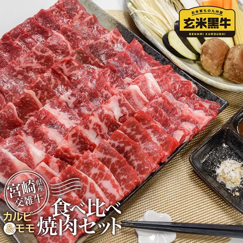 【カミチク】食べ比べ焼肉セット1kg（200g×5）　カルビ＆モモ　宮崎県産玄米黒牛<1.9-11>牛肉 国産牛 ビーフ 宮崎県 西都市