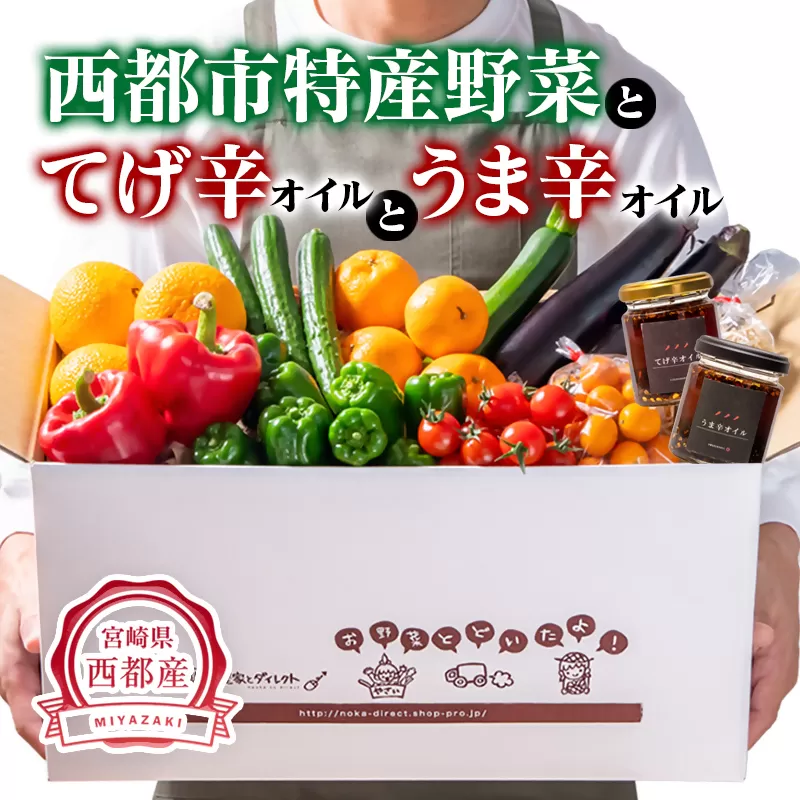 西都市特産新鮮野菜・てげ辛うま辛オイルセット【先行予約・数量限定】＜1.5-23＞西都市産 調味料 オイル 加工品 野菜 宮崎県西都市