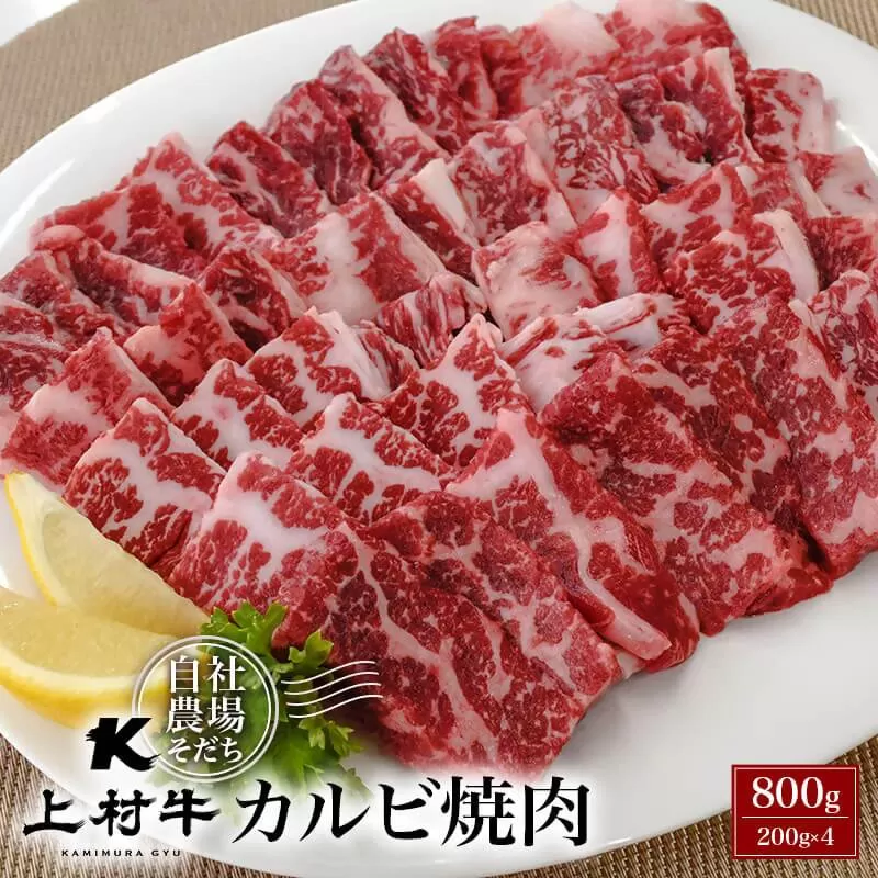 【カミチク】宮崎県産上村牛　カルビ焼肉800ｇ（200ｇ×4パック）<1.4-5>牛肉 国産牛 ビーフ 小分け 宮崎県西都市 数量限定