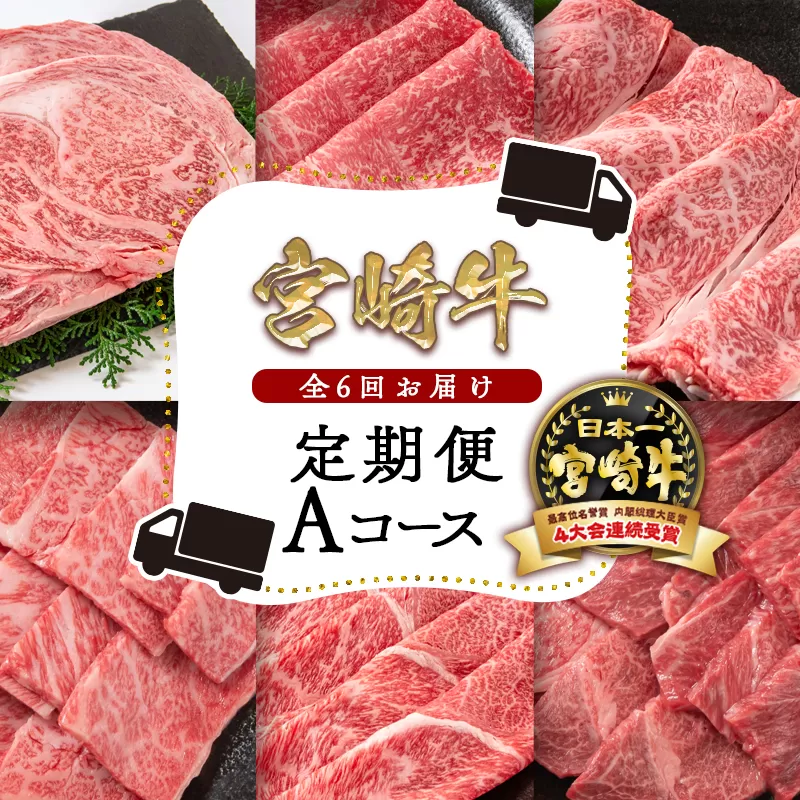 【定期便】宮崎牛6ヶ月定期便Aコース 焼肉・すき焼き・ステーキ 内閣総理大臣賞4連続受賞 ミヤチク<7-6>牛肉 西都市 毎月届く 黒毛和牛  