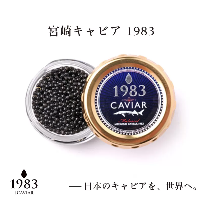 宮崎キャビア MIYAZAKI CAVIAR 1983 20g 国産 「ジャパン キャビア」＜4-16＞魚介類 魚卵 三大珍味 ギフト 宮崎県西都市	