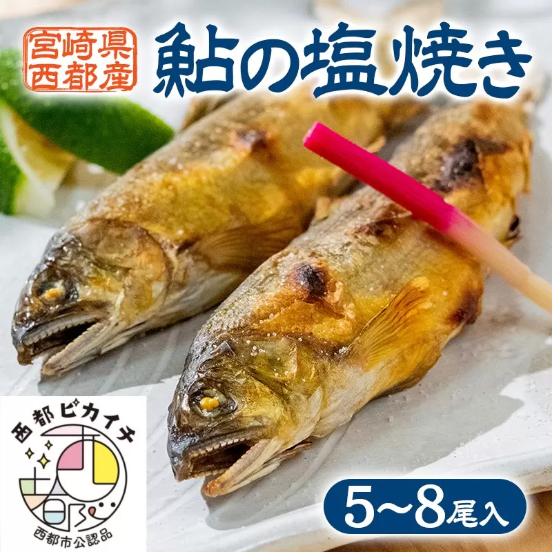 鮎の塩焼きギフト(5〜7尾入り) 西都市ピカイチ認定!宮崎県西都市産[1-8]魚 魚介類 加工品 惣菜 おかず 宮崎県 西都市