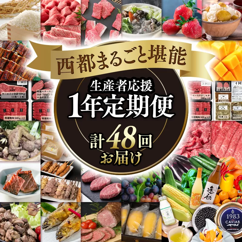 【季節の定期便】西都まるごと堪能セットＦ 48品お届け 令和6年1月発送開始 12ヶ月定期便『プレミアムコース』マンゴー・宮崎牛・うなぎなど48品お届け＜100-3＞