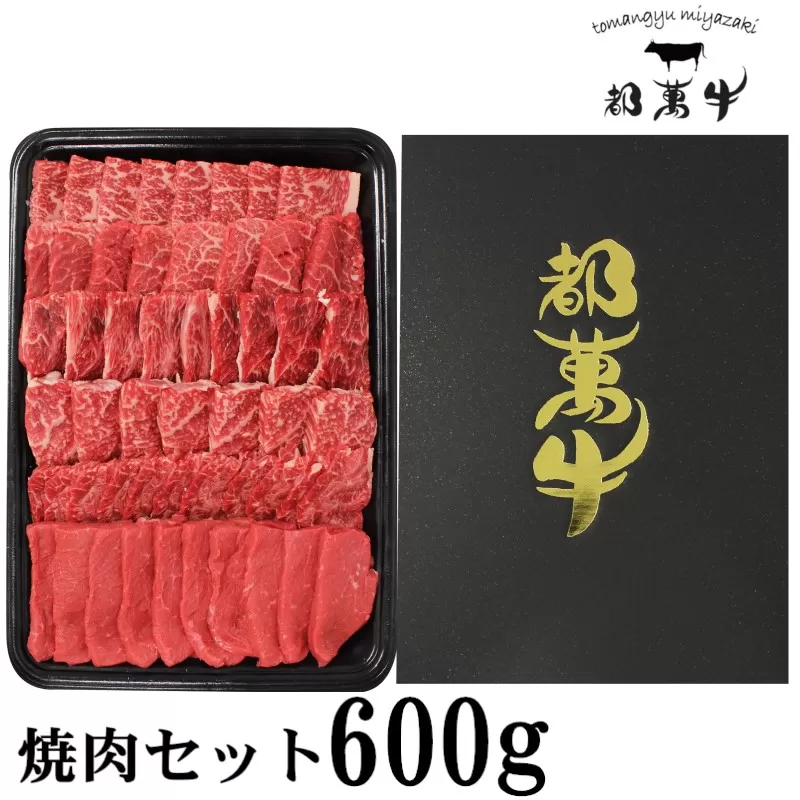 黒毛和牛『都萬牛』焼肉セット600g[2-24]牛肉 西都市 オリジナルブランド