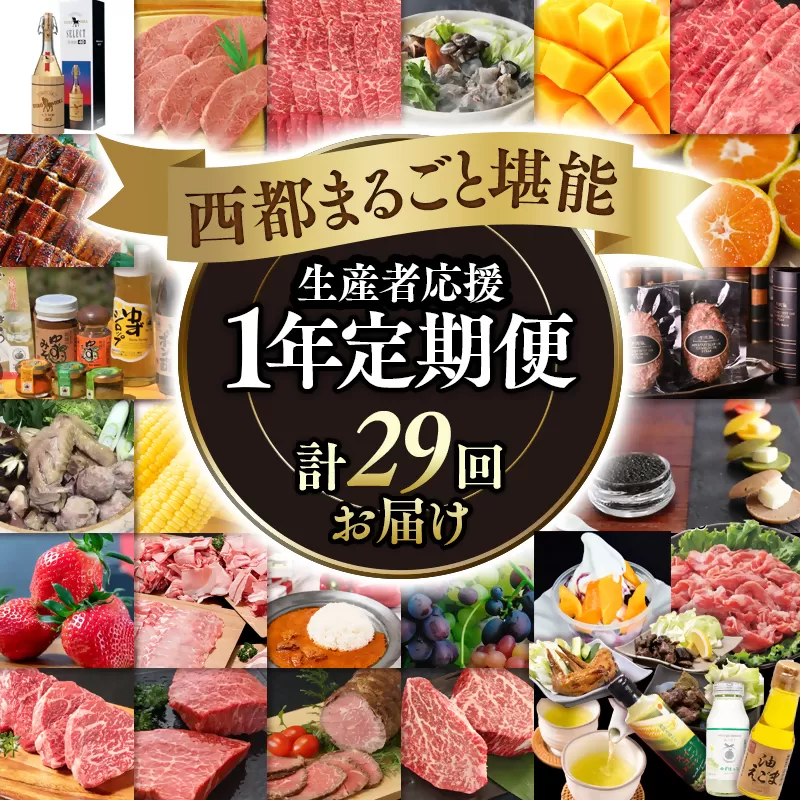 【季節の定期便】西都まるごと堪能セットＥ 29品お届け 令和7年1月発送開始 12ヶ月定期便『ダイヤモンドコース』マンゴー・宮崎牛・うなぎなど29品お届け＜50-4＞牛肉 果物 フルーツ 宮崎県西都市