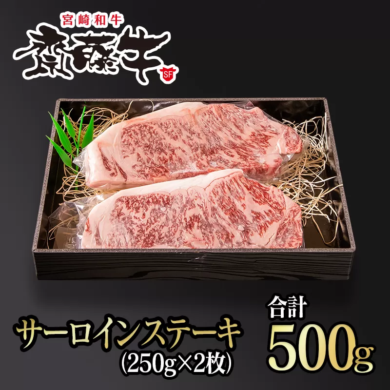 宮崎和牛「齋藤牛」サーロインステーキ500g(250g×2枚)[4.3-3]牛肉 肉 黒毛和牛 国産牛 宮崎県 西都市