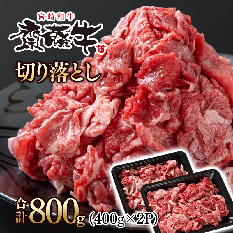 宮崎和牛「齋藤牛」切り落とし800g(400g×2パック)[1.2-61]牛肉 肉 ビーフ 宮崎県産 切落とし 宮崎県西都市