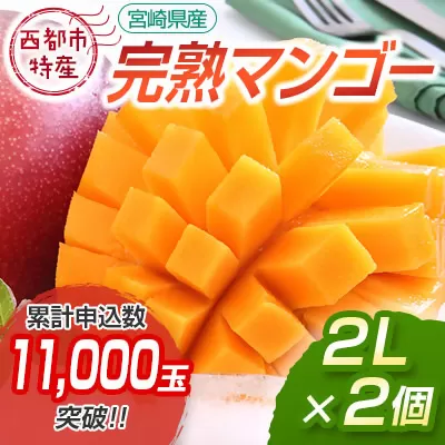 【先行予約】西都市産完熟マンゴー2Ｌ×2玉（約700ｇ）2025年発送＜1.2-39＞果物 くだもの フルーツ 宮崎県 西都市