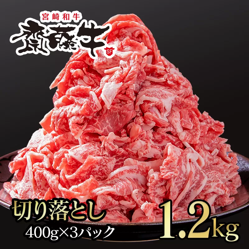 宮崎和牛「齋藤牛」切り落とし1.2kg（400g×3パック）<1.8-9>宮崎県 西都市 牛肉 切落し 国産牛 黒毛和牛