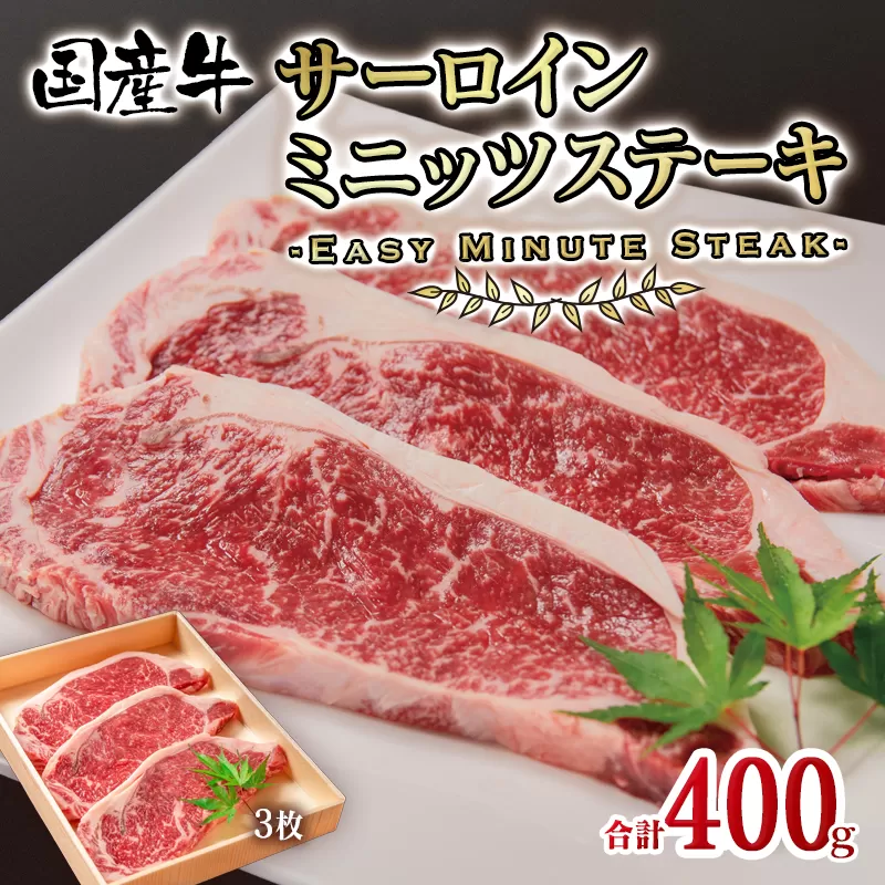 国産牛サーロインスミニッツステーキ3枚 計400g 牛肉 ステーキ＜1.2-63＞宮崎県 西都市 贅沢 肉