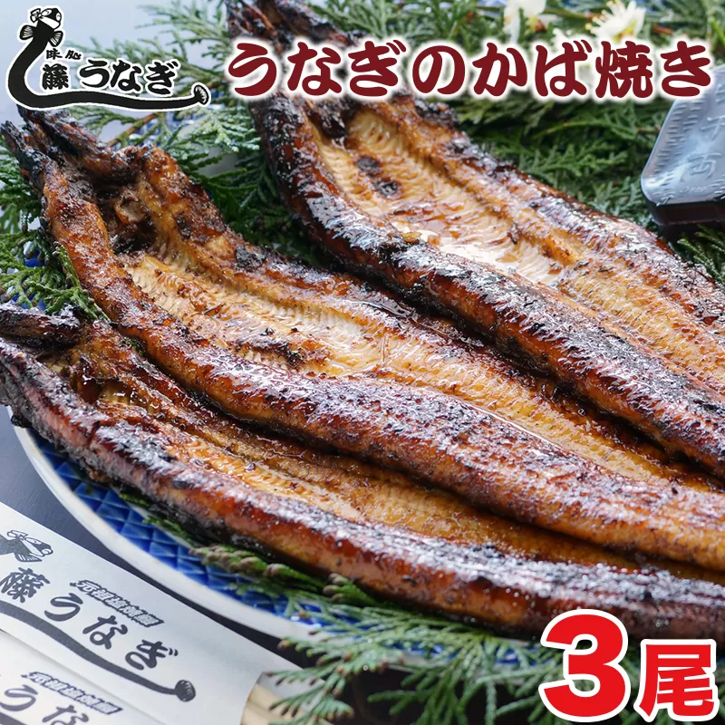 うなぎのかば焼き３尾　国産鰻 『お食事処 藤うなぎ』<2.5-6>