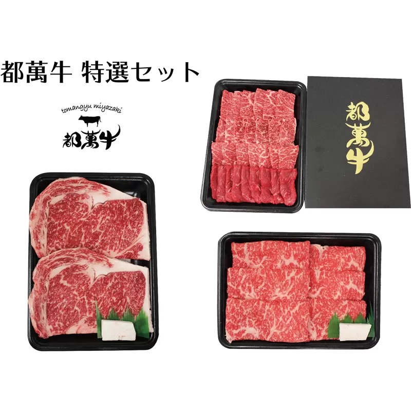 黒毛和牛『都萬牛』特選セット 焼肉500g・スライス300g・ステーキ300g[5-3]牛肉 肉 ビーフ 盛り合わせ 宮崎県 西都市