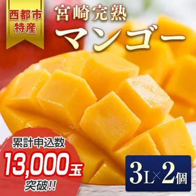 【先行予約】西都市産完熟マンゴー3Ｌ×2玉（約900ｇ）2025年発送＜1.5-132＞果物 くだもの フルーツ 宮崎県 西都市