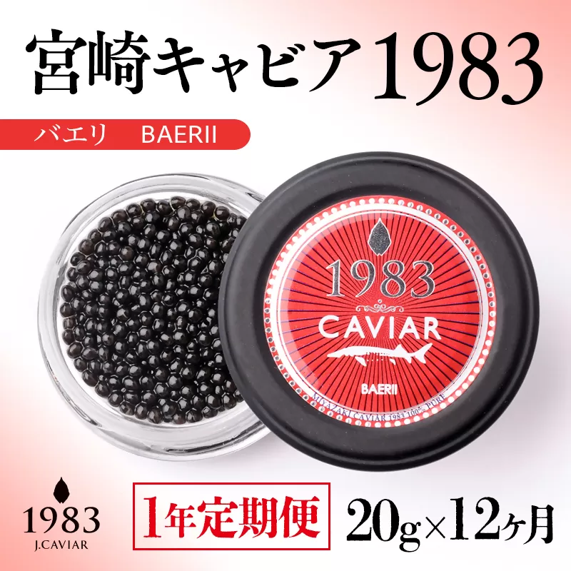 [12ヶ月定期便]宮崎キャビア1983バエリ MIYAZAKI CAVIAR1983 BAERII 20g×12ヶ月[48-2]魚卵 キャビア 全12回 1年間 宮崎県 西都市