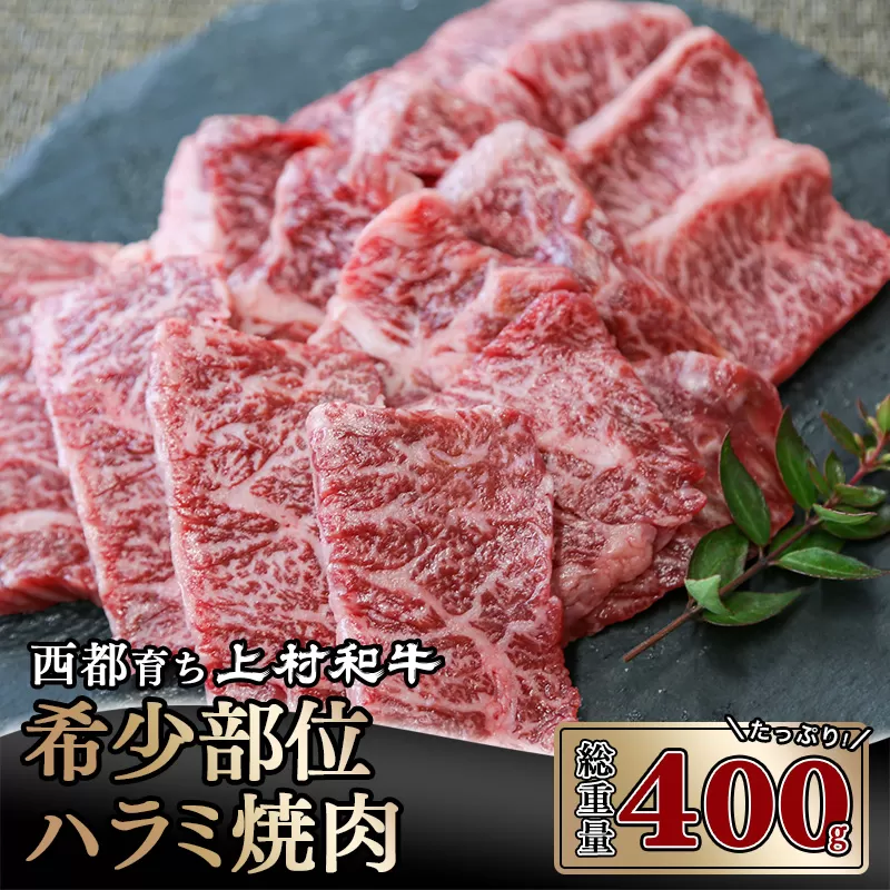 【カミチク 上村和牛】黒毛和牛 ハラミ焼肉400g（200g×2） 小分け＜2-87＞