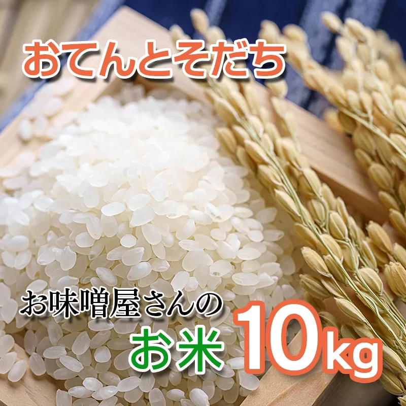 お味噌屋さんのお米『おてんとそだち』10kg 令和6年産  10kg 米＜1.5-229＞10月より発送開始