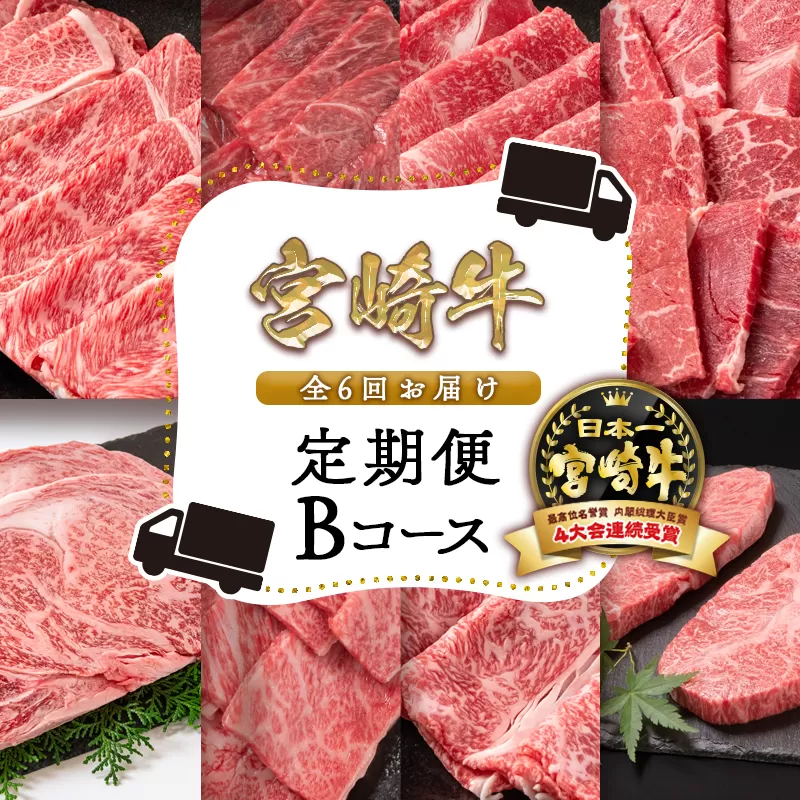 [6ヶ月定期便]宮崎牛Bコース[焼肉・すき焼き・ステーキ]内閣総理大臣賞4連続受賞 ミヤチク[11-3]牛肉 定期便 肉 日本一 黒毛和牛 宮崎県 西都市