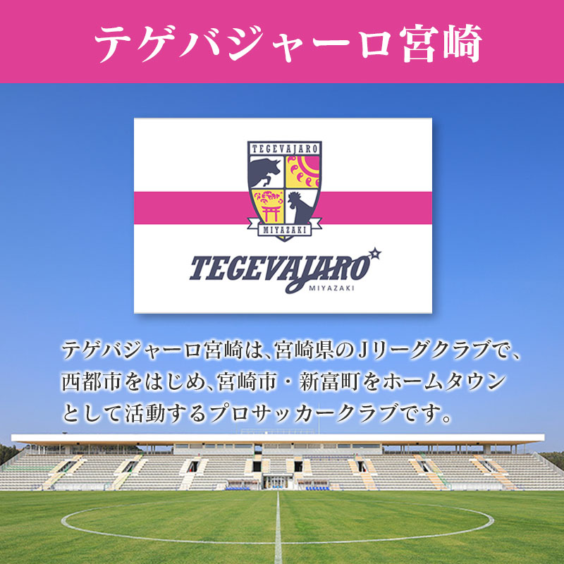 テゲバジャーロ宮崎 応援グッズセット サッカー Jリーグクラブ 