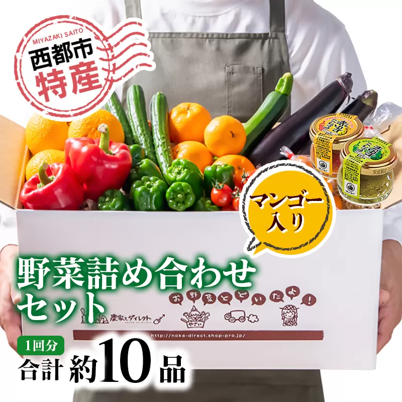 【数量限定・先行予約】西都市特産新鮮野菜と柚子こしょう詰め合わせセット＜1-48＞野菜 調味料 特産品 宮崎県西都市