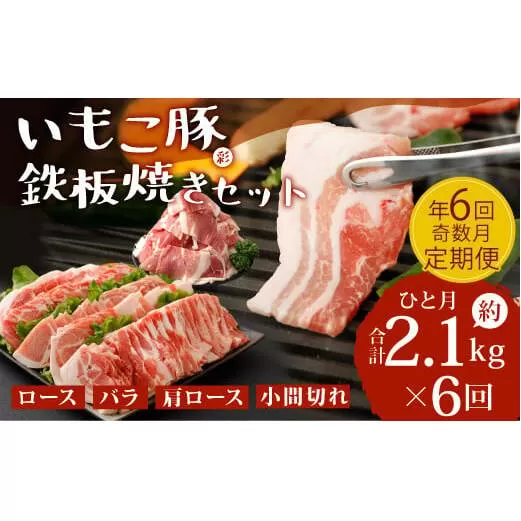 【年6回定期便/奇数月】いもこ豚（彩） 鉄板焼きセット 2.1kg×6回 総合計12.6kg 切り落とし ロース バラ 肩ロース 小間切れ 焼肉 豚肉 いもこ豚 セット 詰合せ 冷凍 宮崎県産 九州産 送料無料