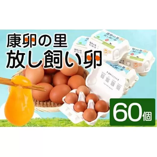 卵 鶏卵 康卵の里「放し飼い卵」 卵60個 宮崎県えびの市産 九州産 国産 玉子 タマゴ 卵 生卵 鶏卵 たまご 玉子焼き 卵焼き ゆで卵 ゆでたまご エッグ TKG 卵かけご飯 たまごかけごはん つまめる 破損保証5個含む 送料無料