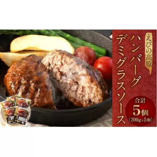 えびの高原 ハンバーグ デミグラスソース 5パック 合計1kg 200g×5パック お肉 肉 惣菜 温めるだけ パック 成長ホルモン不使用 レンジ対応 送料無料
