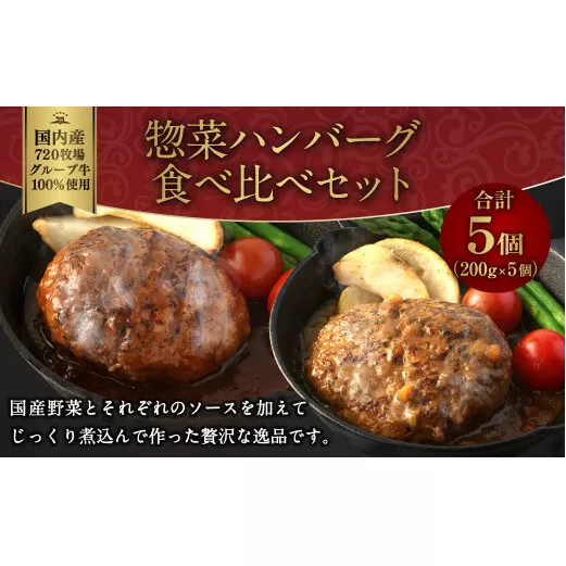 えびの高原 惣菜ハンバーグ食べ比べセット 5パック 合計1kg 200g×5パック お肉 肉 惣菜 温めるだけ パック 成長ホルモン不使用 レンジ対応 送料無料
