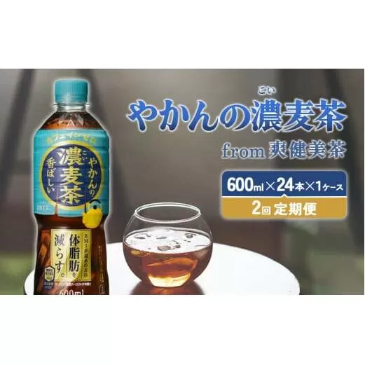 【2回定期便】やかんの濃麦茶 from 爽健美茶 600ml PET×24本（１ケース）合計48本【コカコーラ】 日本茶 お茶 麦茶 ペットボトル カフェインゼロ 常温 送料無料 こども 美容 むくみ BMI 体脂肪