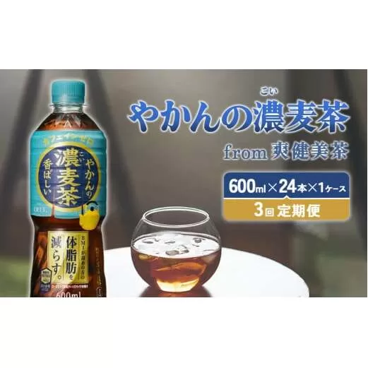 【3回定期便】やかんの濃麦茶 from 爽健美茶 600ml PET×24本（１ケース）合計72本【コカコーラ】 日本茶 お茶 麦茶 ペットボトル カフェインゼロ 常温 送料無料 こども 美容 むくみ BMI 体脂肪