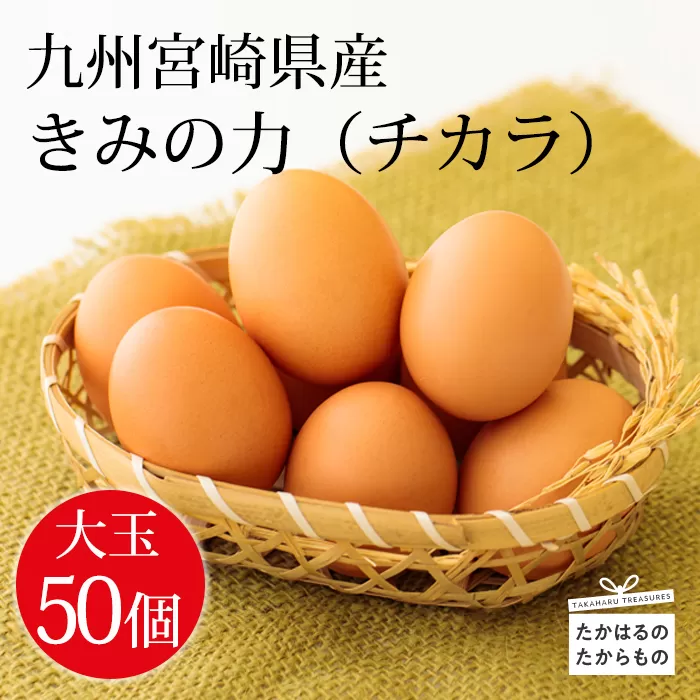 宮崎県産の赤たまご『きみの力(チカラ)』大容量50個Lサイズの赤卵 ミネラルたっぷりのカキガラや上質な飼料ですくすく育った鶏の卵は甘くておいしい逸品 新鮮 たまご L玉 玉子 大玉 8000円 8千円 TF0793-P00035