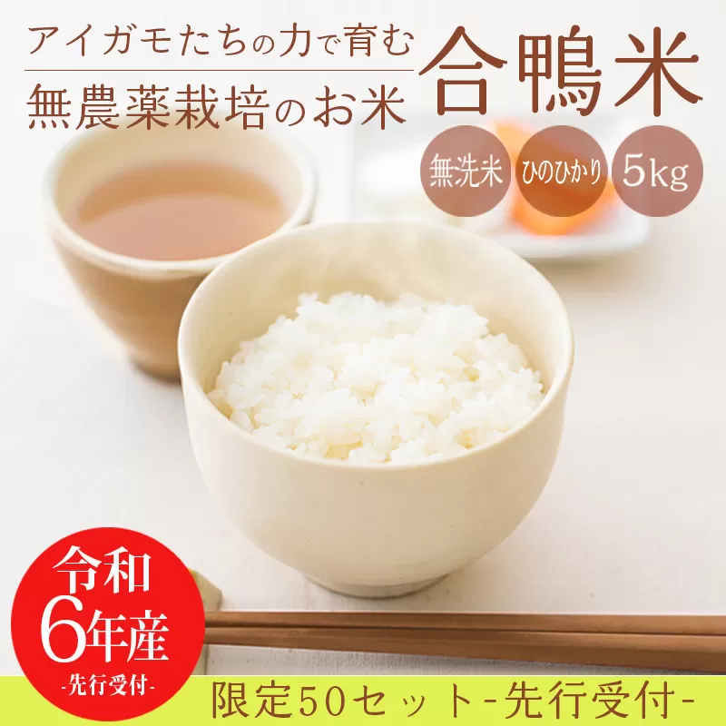 【先行予約】《令和6年産》無農薬栽培 合鴨米ひのひかり(無洗米)5kg [先行受付 2024年産] TF0422-P00029