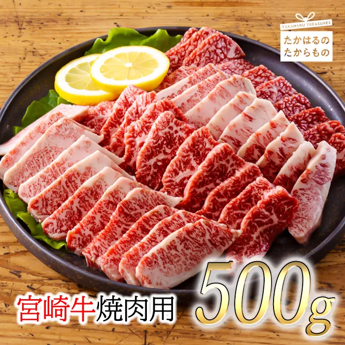 《内閣総理大臣賞受賞》宮崎牛焼肉用(500g) おいしさ日本一の黒毛和牛 [A5ランク A4等級 ブランド牛 国産牛 牛肉 ギフト 贈答 贈り物 プレゼント] TF0556-P00020