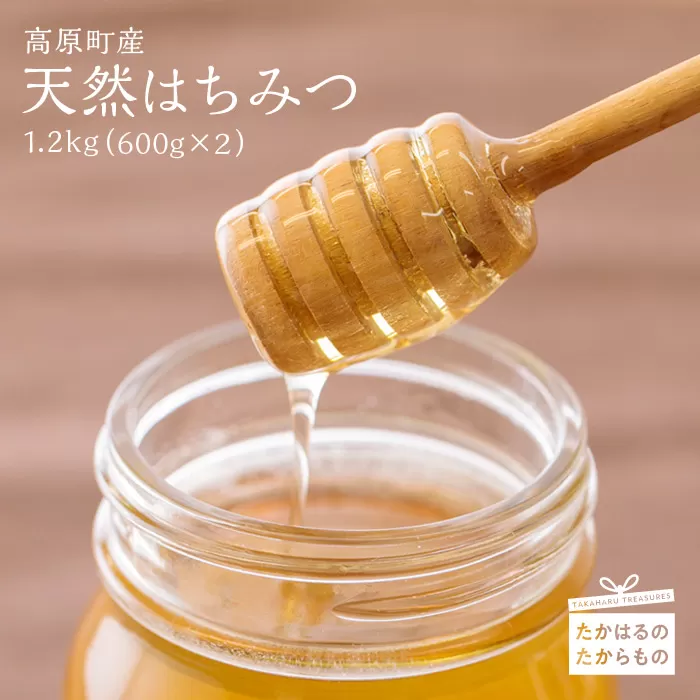 高原町産天然はちみつ 1.2kg(600g×2本) 国産のおいしい蜂蜜 TF0364-P00011