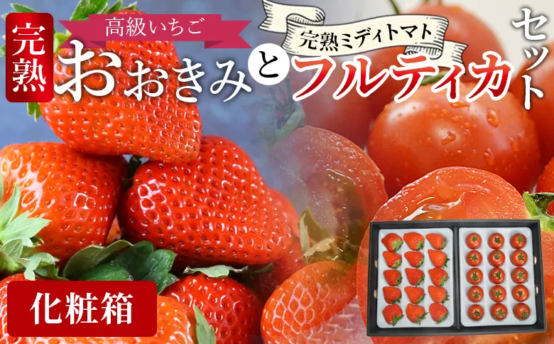 [高級いちご「おおきみ」と完熟ミディトマト「フルティカ」のセット (化粧箱入)]2025年1月上旬から4月末迄に順次出荷[ 贈答用 化粧箱 ギフト 贈り物 贈答品 いちご イチゴ 苺 大粒 朝どれ 朝獲れ 完熟いちご 産地直送 とまと トマト 完熟トマト ]