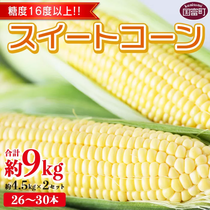 予約受付！数量限定！＜宮崎県産 スイートコーン 約9kg（約4.5kg×2箱）＞2025年5月下旬〜6月中旬迄に順次出荷【 先行予約 穀物 野菜 甘い 季節限定 とうもろこし おやつ ご飯 スープ サラダ BBQ 屋台 】