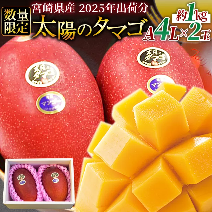 予約受付！数量限定＜宮崎県産 太陽のタマゴ A等級 4Lサイズ×2玉（合計約1kg）＞2025年4月下旬〜6月末迄に順次出荷【 果物 フルーツ 太陽のタマゴ 太陽のたまご 完熟マンゴー マンゴ― 期間限定 先行予約 ギフト 贈答用 送料無料 】