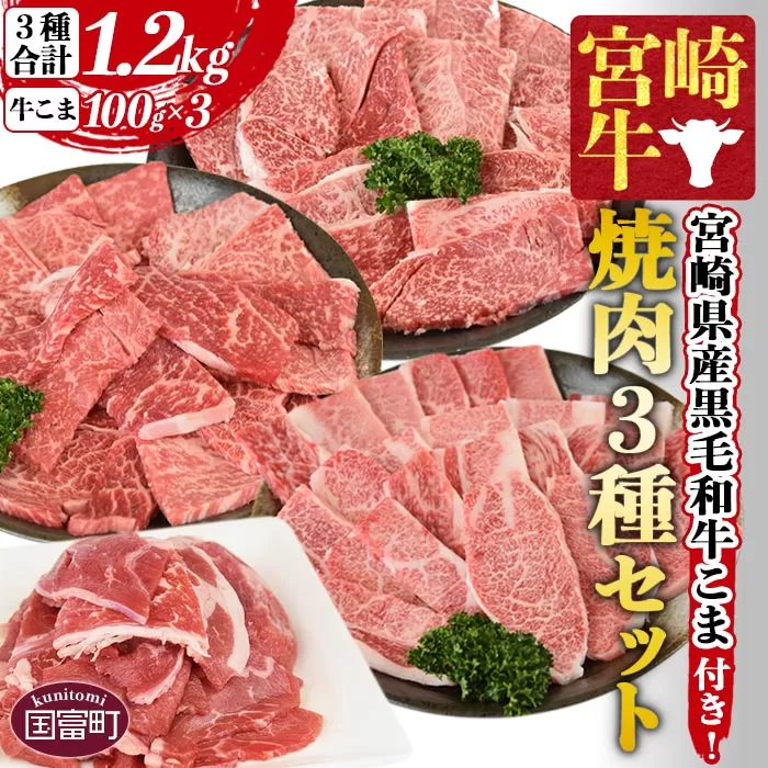 ＜宮崎牛 焼肉3種セット（ウデ・モモ・バラ）合計1.2kg ＋ 宮崎県産黒毛和牛こま切れ 合計300g＞1か月以内に順次出荷