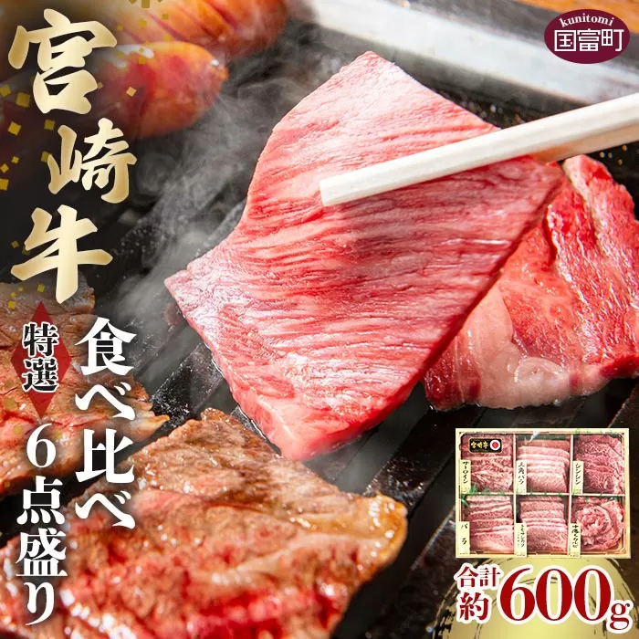 ＜宮崎牛特選食べ比べ6点盛り 合計約600g (約100g×6種)＞2か月以内に順次出荷