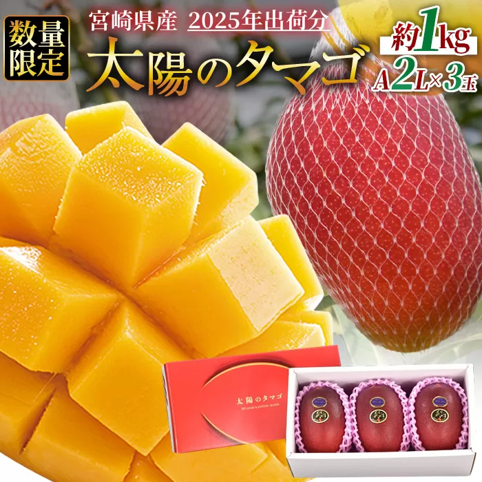 予約受付！数量限定＜宮崎県産 太陽のタマゴ A等級 2Lサイズ×3玉（合計約1kg）＞【果物 くだもの フルーツ 太陽のタマゴ 太陽のたまご 完熟マンゴー ジューシー 果汁 かんじゅく 期間限定 先行予約 ギフト 贈答用 贈答品 贈り物 】2025年4月下旬〜6月末迄に順次出荷