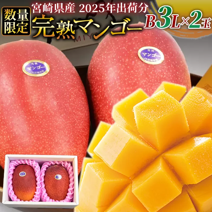 予約受付！数量限定！＜宮崎県産 完熟マンゴー B等級 3Lサイズ×2玉（合計約900g）＞2025年4月下旬〜6月末迄に順次出荷【 果物 フルーツ くだもの 甘い トロピカル ギフト プレゼント 贈り物 贈答用 デザート 季節限定 旬 産地直送 】