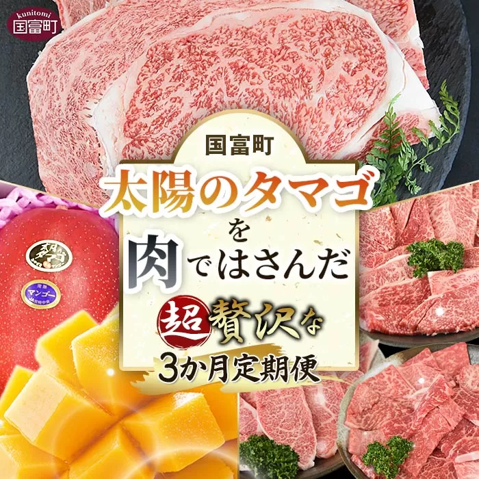 期間限定＜太陽のタマゴを肉ではさんだ超贅沢な3か月定期便＞2025年4月から第一回目を順次出荷