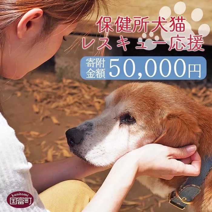 ＜保健所犬猫レスキュー【返礼品なしのご寄附】＞寄付金額50,000円※お礼状をお送りいたします。【 動物愛護 保護 犬 猫 いぬ ねこ イヌ ネコ 動物 どうぶつ ペット 応援 支援 寄付 使い道 いのちのはうす保護家 】