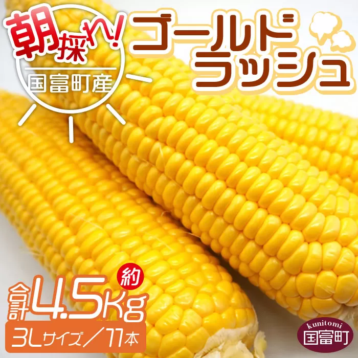 [倉庫]予約受付![朝採れ!国富町産ゴールドラッシュ4.5Kg3L11本]2024年5月下旬〜7月上旬迄に順次出荷[ とうもろこし スイートコーン 先行予約 野菜 穀物 甘い トウモロコシ 季節物 数量限定 とうきび コーン ]