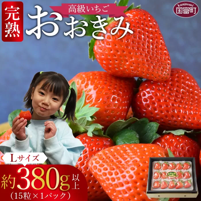 ＜高級いちご「おおきみ」（15粒入り×1パック約380g以上）＞2025年1月上旬から4月末迄に順次出荷【 いちご イチゴ 苺 先行予約 甘い 大きい 果物 フルーツ 季節物 】