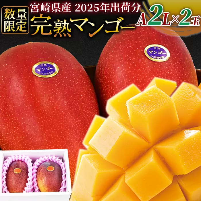 予約受付！数量限定＜宮崎県産 完熟マンゴー A等級 2Lサイズ×2玉（合計約700g）＞2025年4月下旬〜6月末迄に順次出荷